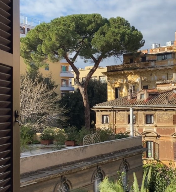 Vista - IH Roma Dilit Rome International House Rome