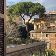 Vista - IH Roma Dilit Rome International House Rome