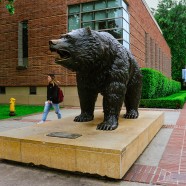 UCLA Extension